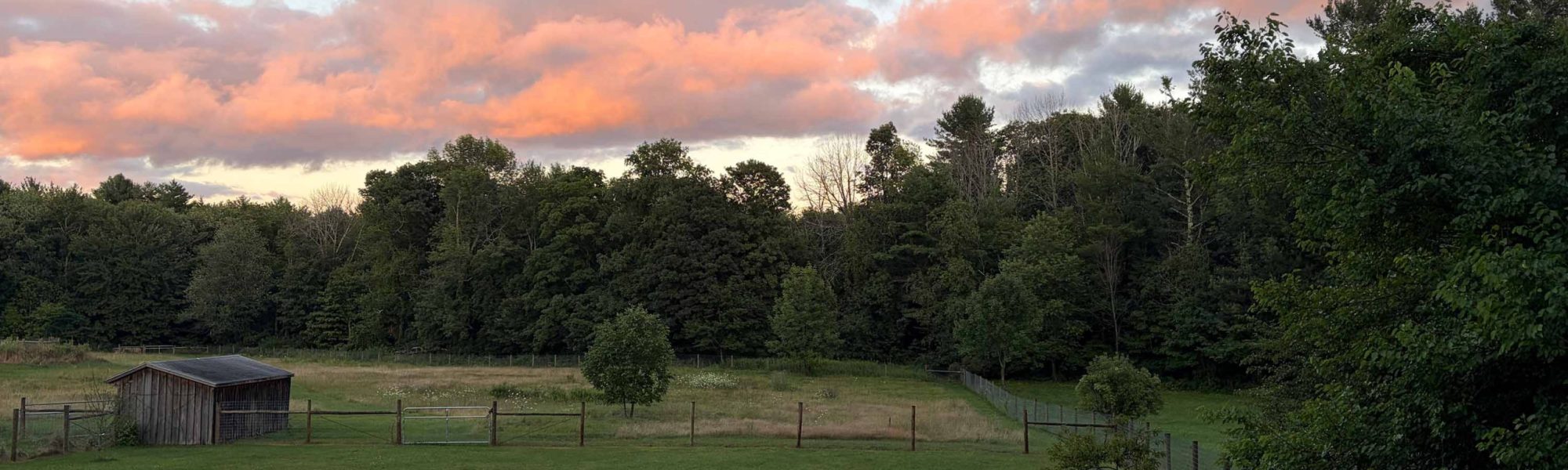 Sunset at farm